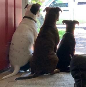 Meet your Posher, Mike mindy